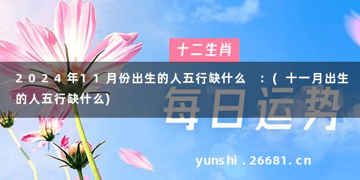 2024年11月份出生的人五行缺什么 :(十一月出生的人五行缺什么)